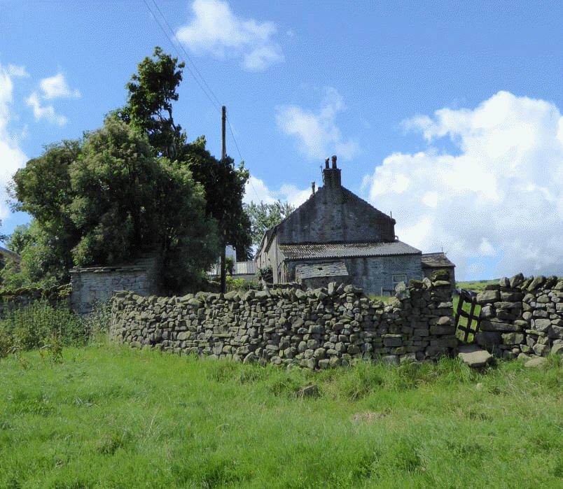 Butterfield Gap Farm